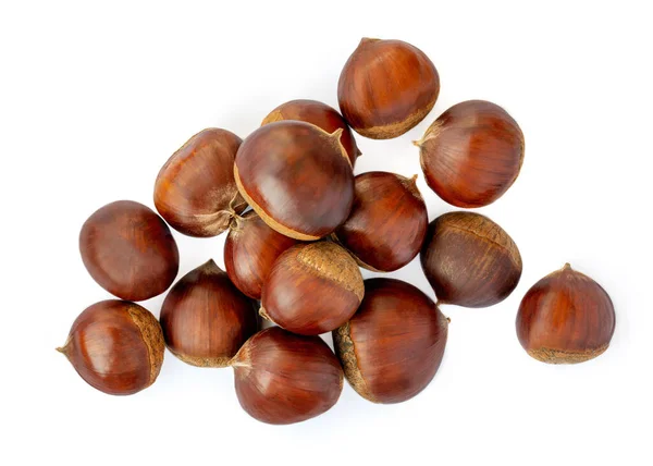 Chestnut Isolated White Background Autumn Chestnuts Christmas Top View Flat — Stock Photo, Image