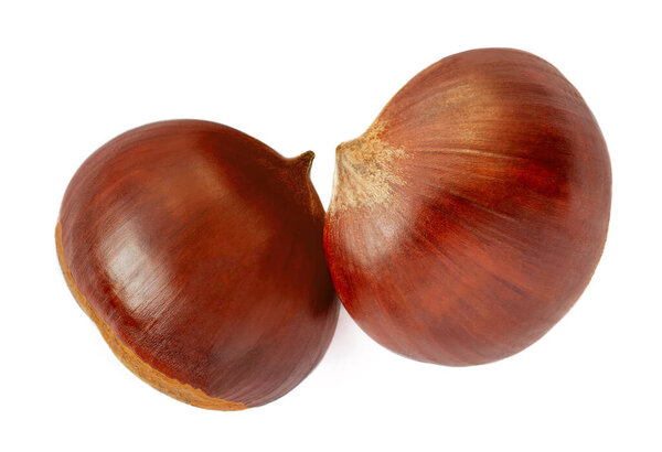 Каштаны изолированы на белом фоне. Осенние каштаны для рождественского вида сверху. Плоский лежал