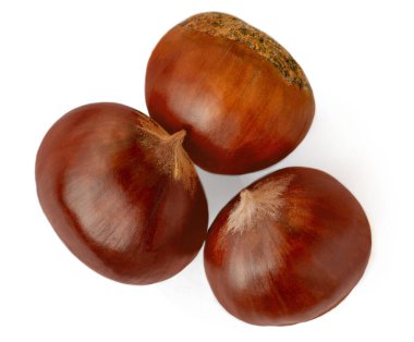 Beyaz arka planda izole edilmiş at kestaneleri (Aesculus) meyveleri. Noel manzarası için tatlı kestaneler. Düz yatıyordu