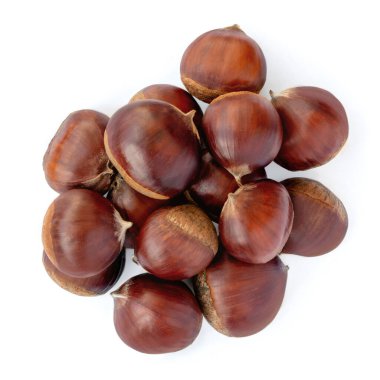 Beyaz arka planda izole edilmiş at kestaneleri (Aesculus) meyveleri. Noel manzarası için tatlı kestaneler. Düz yatıyordu