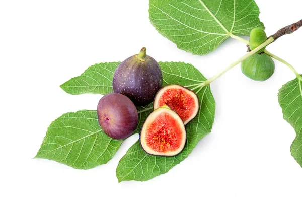 Higos Frescos Rama Con Hojas Aisladas Sobre Fondo Blanco Fig —  Fotos de Stock