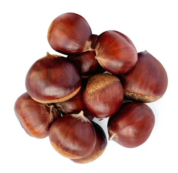 Frutti Ippocastano Esculus Isolati Fondo Bianco Castagne Dolci Natale Vista — Foto Stock