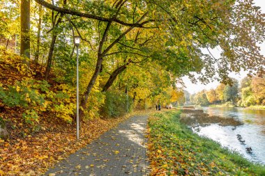 Sonbahar Nehri boyunca yol