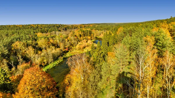 Лес Осенней Панорамы — стоковое фото