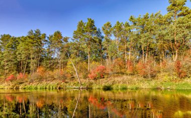 nehir boyunca köprü