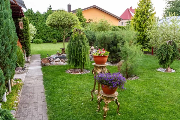 Benim bahçe Yaz aylarında olduğunu