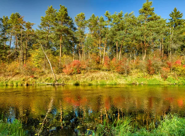 Золотая Осень Реки — стоковое фото