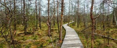 Dar bir yol ile büyük bir bataklık çalışır