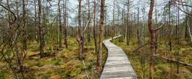 Dar bir yol ile büyük bir bataklık çalışır