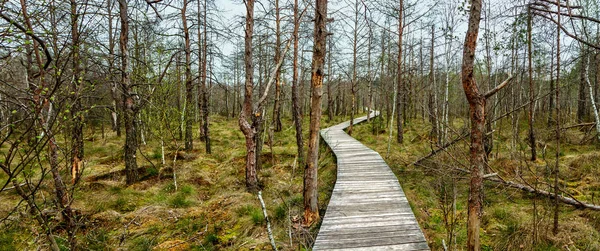 Dar bir yol ile büyük bir bataklık çalışır