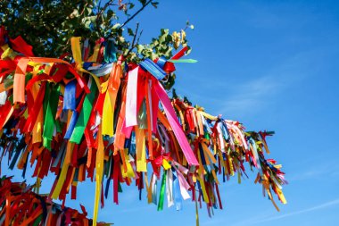 Gökyüzüne karşı bir ağaç dallarında çok renkli şeritler