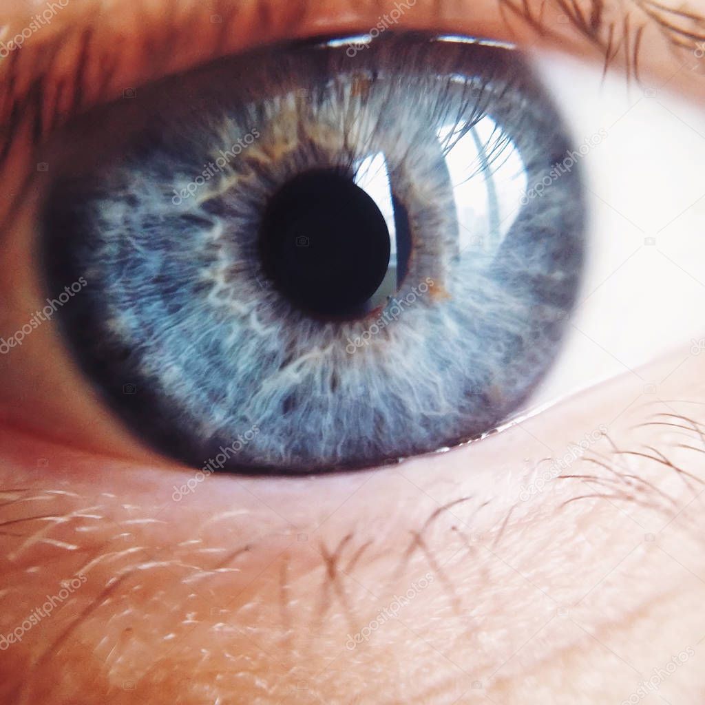 Blue eye close up