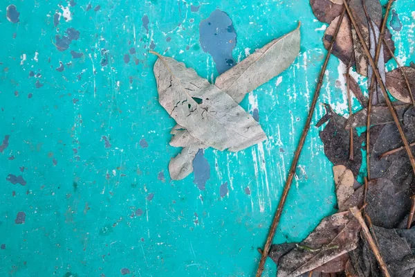 Fundo azul velho com pintura peeling, molhado, folhagem desbotada e galhos — Fotografia de Stock