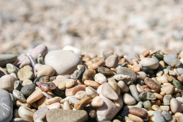 Kleine gekleurde zee kiezels en schelpen tegen een onscherpe achtergrond — Stockfoto