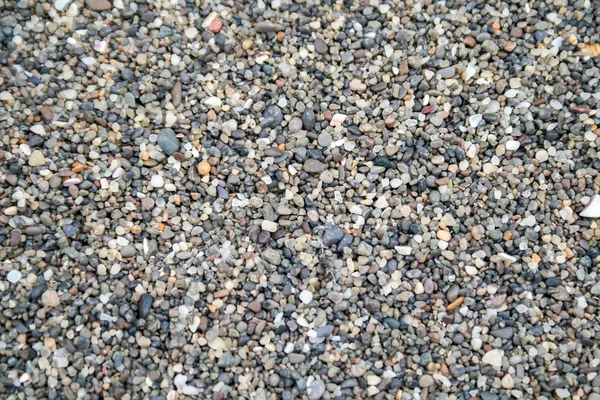 Achtergrond van de kleine veelkleurige zee steentjes — Stockfoto