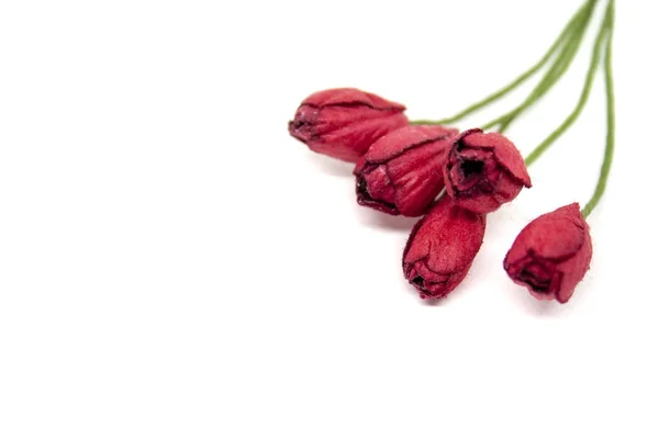 Buquê de cinco pequenas tulipas de papel vermelho isoladas em fundo branco — Fotografia de Stock