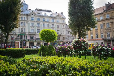 Lviv, Ukrayna-Eylül 14, 2013: Svobody Avenue Lviv bir parçası, çiçekler ve tarlaları çeşitli dekore edilmiştir. Svobody Ave Lviv merkezi Caddesi