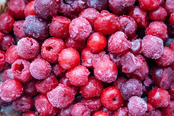 Red, maroon and pink berries of frozen cherries with hoarfrost Stock Photo