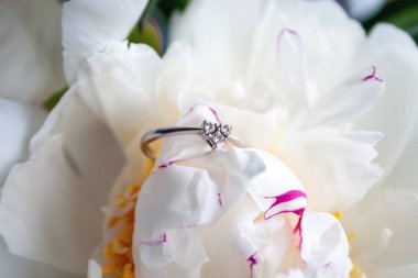 Beyaz şakayık çiçek tomurcuk üzerinde yatan bir kalp şeklinde üç küçük elmas ile güzel bir beyaz altın nişan yüzüğü bir closeup görünümü. Seçici odaklama