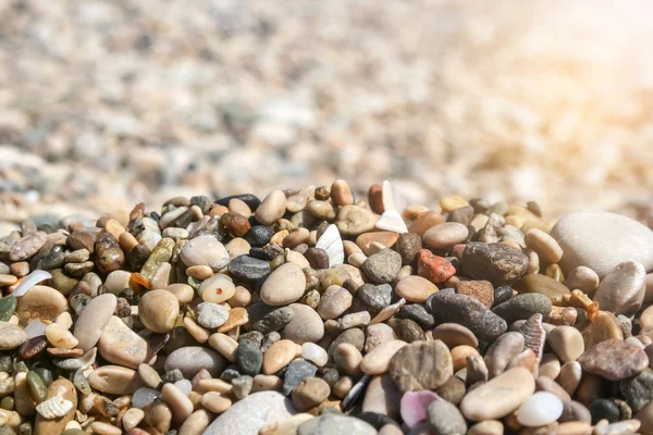 Kleine gekleurde zee kiezels en schelpen tegen een onscherpe achtergrond op een zonnige dag — Stockfoto