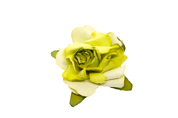 흰색 배경에 고립 된 스크랩 북용 밝은 녹색 종이 장미 꽃 — 스톡 사진