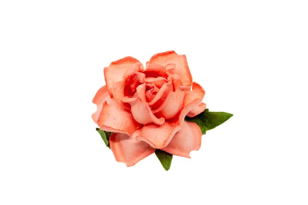 Papel rosa rosa flor para scrapbooking isolado no fundo branco — Fotografia de Stock
