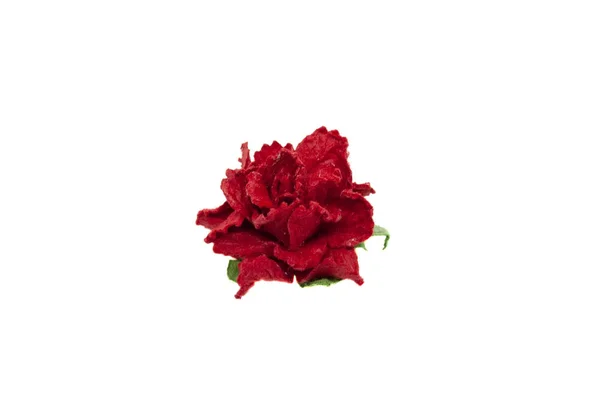 흰색 배경에 고립 된 스크랩 북용 작은 빨간 종이 카네이션 꽃 — 스톡 사진