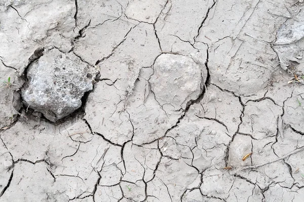 Fondo de tierra gris agrietado durante la sequía con una pequeña cantidad de hierba seca y piedras. Ecología, medio ambiente, suelo malo en meses sin lluvia — Foto de Stock