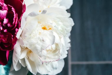 Gri, bulanık bir arkaplan ve hoş bir renge bürünmüş, yemyeşil, beyaz ve pembe şakayıklardan oluşan bir buketin yakın görüntüsü. Tatil için hediye olarak güzel narin çiçekler. Kopyalama alanı olan üst görünüm