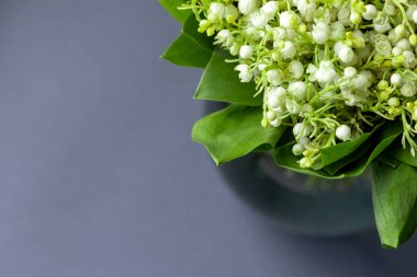 Yeşil yapraklı vadideki beyaz zambak buketi cam bir vazoda fotokopi alanı ile bulanık, yumuşak gri bir arka planda. Seçici odak