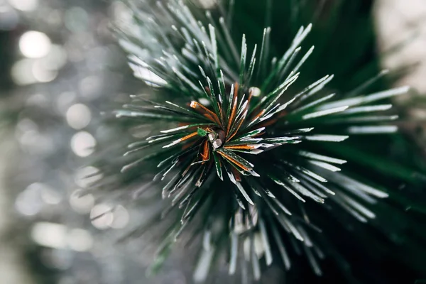 Rama Verde Blanca Árbol Navidad Artificial Con Agujas Primer Plano —  Fotos de Stock