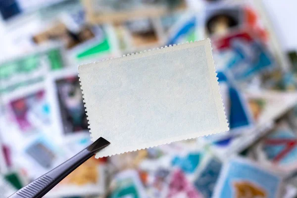 Blanco Postzegel Pincet Tegen Wazige Achtergrondverzameling Van Veelkleurige Postzegels Uit — Stockfoto