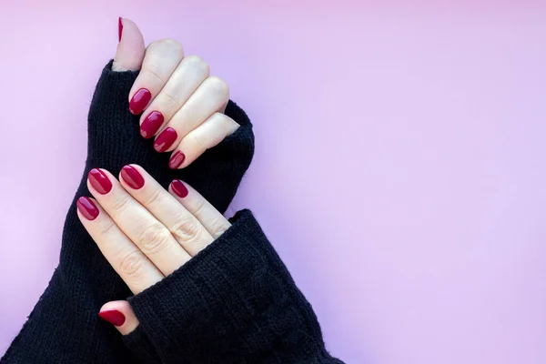 Female Hands Black Knitted Gloves Mitts Beautiful Glossy Manicure Burgundy — Stock Photo, Image