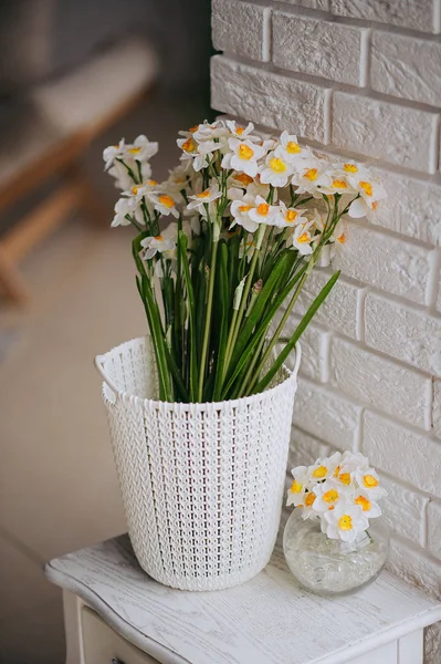 Aile nergis bir beyaz ve turuncu güzel çiçek