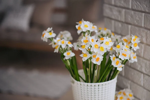 bir beyaz ve turuncu güzel nergis