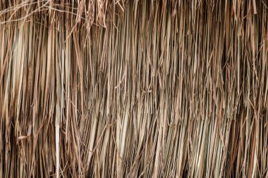 saman veya kuru ot doğal arka plan