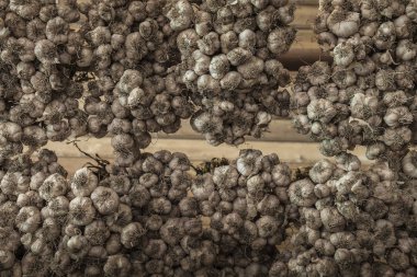 Hasattan sonra kurumaya asılı görünümü Kapat sarımsak demetleri.