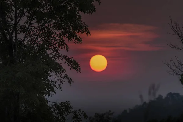 Fundo Brilhante Com Árvores Silhueta Montanha Pôr Sol Assustador — Fotografia de Stock