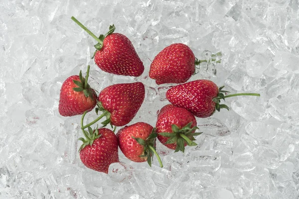 Frische Erdbeeren Auf Eiswürfeln — Stockfoto