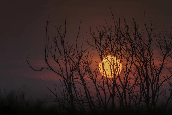 Fondo Colorido Natural Con Silueta Árboles Montaña Atmósfera Del Cielo — Foto de Stock