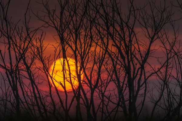 Fundal Natural Colorat Siluetă Copaci Munte Atmosfera Cerului Apusului Soare — Fotografie, imagine de stoc