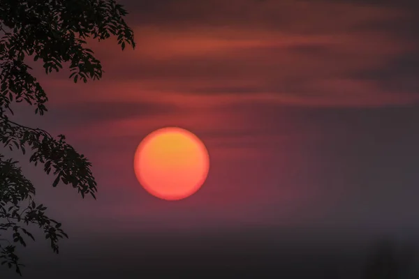 Fundo Brilhante Com Árvores Silhueta Montanha Pôr Sol Assustador — Fotografia de Stock