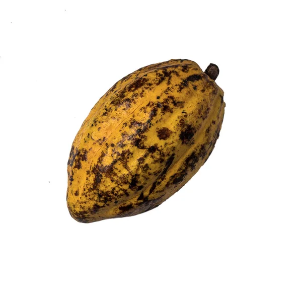 Raw Dojrzałych Owoców Kakao Białym Tle — Zdjęcie stockowe