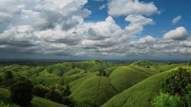 Kırsal manzara, alan Mısır hasat dağlarda için hazır.