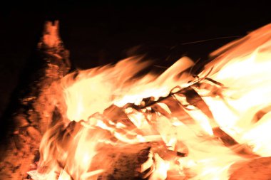 Ormandaki şenlik ateşi görünümü Kapat