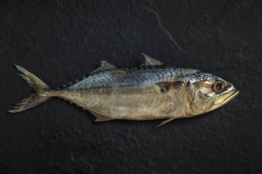 Siyah arka plan üzerine parlak ham uskumru