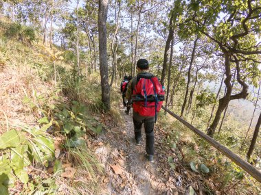 Orman yürüyüş backpackers Grup.