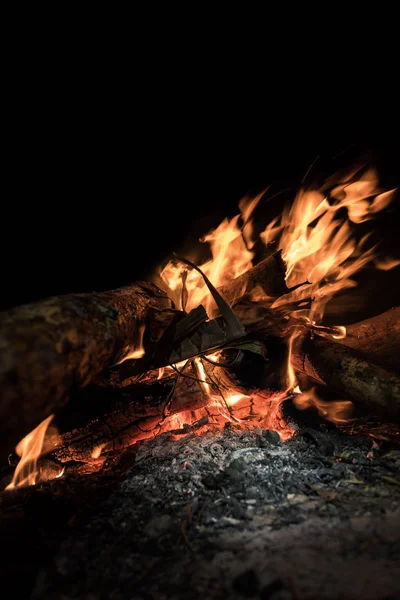 Bonfire Forest Night — Stock Photo, Image