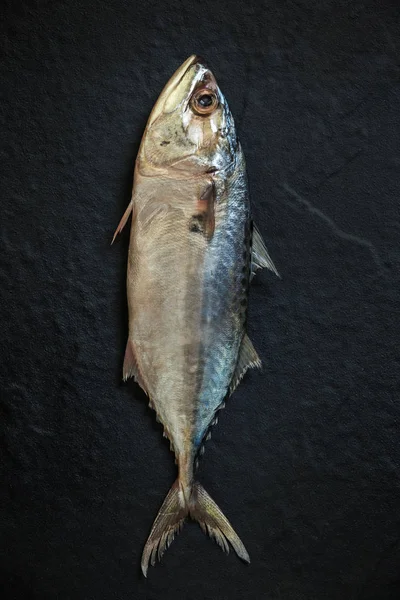 Cavala Crua Brilhante Sobre Fundo Preto — Fotografia de Stock