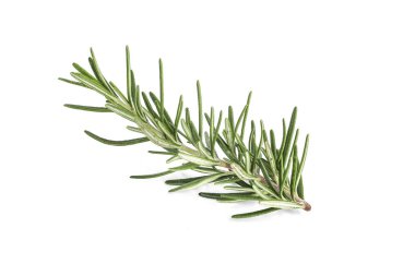 Beyaz arka plan üzerinde izole tek biberiye dalı.